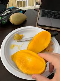 Nurse sharks are sometimes preyed upon by other sharks, such as tiger galeocerdo cuv t we received your fax. Https Imgur Com Gallery Vgvxron Daily Https Imgur Com Zaymh4k Jpg Https Imgur Com 2c0qini Jpg Https Imgur Com 1izhimg Jpg Https Imgur Com Eaiooeo Jpg Https Imgur Com J49jscp Jpg Https Imgur Com Fdmbd5r Jpg Https Imgur Com Aesw5rt Jpg