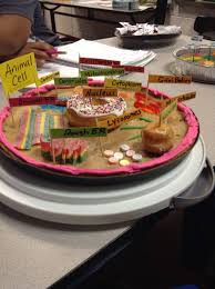 What kind of food is it? 19 Cell City Project Ideas Cells Project Edible Cell Edible Animal Cell