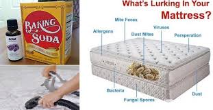 But dust mites can also be found underneath the baseboards and in vacuum cleaner bags, where they feel very comfortable because it is warm, dusty all these chemicals are effective dust mites killers, but you must use them with caution, because they can also cause allergies. Goodshomedesign