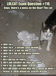 Lolcat Exam Question 116 Funny Cats Cat Questions Funny Cat Memes