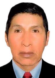 Ingresos de Otorongos Elecciones 2022