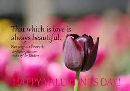 Valentines Day Inspirational Quotes Quotesgram