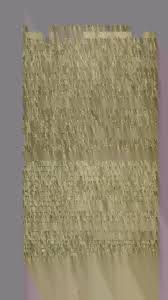 History of the Old Dutch Church at Totowa, Paterson, New Jersey, 1755-1827  : baptismal register, 1756-1808