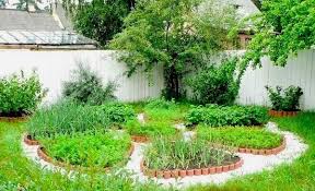 Vegetable Garden Ideas Decorative Designs Of The Garden Plot Diy Ponds Backyard Small Backyard Gardens Vegetable Garden Design