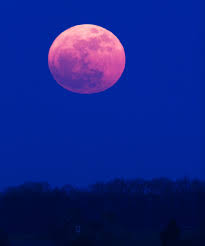 663 likes · 1 talking about this. What The Super Pink Moon Means For Your Sign April 2020