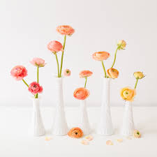 Maybe you would like to learn more about one of these? All About Ranunculus Justinecelina