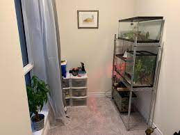 A single person with a full bed can create a more versatile bedroom space by placing the bed in the upper corner against one wall.this allows for an oversized dresser or a bookcase to act as a nightstand and provide more storage space. Our Reptile Room Reptiles