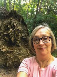 If a Tree Falls in a Forest?