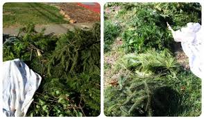Maybe you would like to learn more about one of these? How To Make Evergreen Garland Or Swags