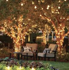 Pin By Sebastian Cevallos On Jardin In 2020 Outdoor Tree Lighting Backyard Lighting Outdoor Deck Lighting