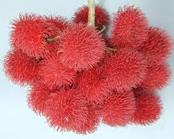 Alhamdulillah ada rezeki duit lebih last minute nak raya haji ni. Buah Buahan Yang Dianggap Unik Ini Asli Asia Tenggara Lo Pernah Coba Semua Halaman Bobo