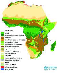 Vector eps illustrator maps of vegetation and landuse of africa. 4 Unesco Aetfat Unso White S Vegetation Map Of Africa The Download Scientific Diagram