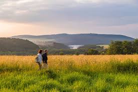An der steinbachtalsperre ist die lage wegen des hochwassers unverändert kritisch. Dream Loop Kohlerpfad Am Steinbach Hiking Route Outdooractive Com