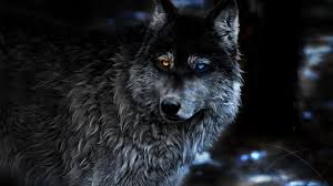 Brown and black wolf digital wallpaper, artwork, planet, space. Wolf Wallpaper Laptop 1920x1080 Redditlist