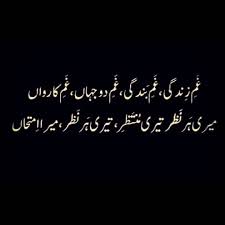 Instagram Post By Faqeer Hu Tera Mola سوچ الفاظ Jan 16 2019 At 5 19pm Utc Urdu Funny Poetry Urdu Poetry Romantic Love Poetry Urdu