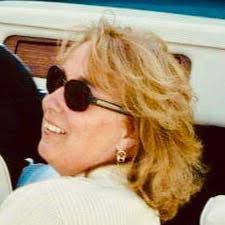 Down tree in Meridian. It's a heavy snow.