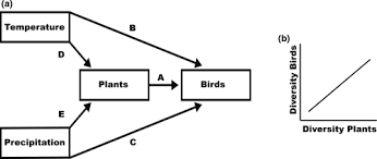 Maybe you would like to learn more about one of these? Direct And Plant Mediated Effects Of Climate On Bird Diversity In Tropical Mountains Vollstadt 2020 Ecology And Evolution Wiley Online Library
