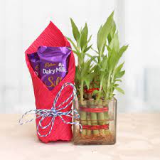 We offer congratulations gift baskets in all shapes and sizes, and for all budgets, whether he likes beer, craft beer, tequila, whiskey, cigars, a classy. Congratulations Gifts Send Congrats Gifts Online Oyegifts