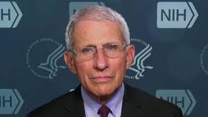 Dr. Fauci
