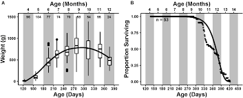 Most of our products are use. Frontiers Changes In Metabolism And Proteostasis Drive Aging Phenotype In Aplysia Californica Sensory Neurons Frontiers In Aging Neuroscience