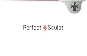 The Perfect Sculpt Review Strapless Backless Breast