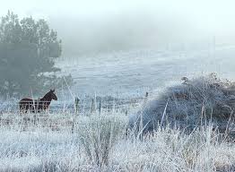 See full list on climatempo.com.br A Geada Cool Landscapes Rio Grande Do Sul States Of Brazil