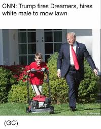 25 Best Memes About Mow Lawn Mow Lawn Memes