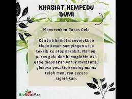 Herba ini merupakan sejenis tumbuhan yang mempunyai jangkahayat yang pendek iaitu lebih kurang satu tahun. Khasiat Dan Manfaat Hempedu Bumi Andrographis Paniculata Youtube