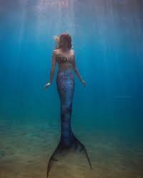 Image result for real mermaid
