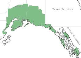 Many vegetables grow in alaska, some examples are peas, tomatoes and zucchini. Vaccinium Alaskaense