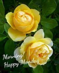 We did not find results for: Good Morning Monday Monday Morning Messages Quotes Images Vectors Gif And Pictures The State
