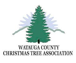 Blue Ridge Vacations Western North Carolina Shopping Guide