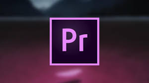 I have a pro membership. Adobe Premiere Pro 2020 Free Download Getgamez Net