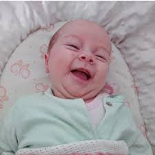 Say hello to five new Dorset arrivals