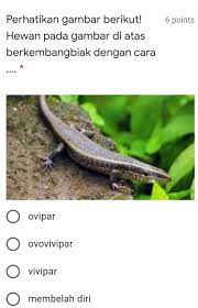 We did not find results for: 1 Perhatikan Gambar Berikut Hewan Pada Gambar Di Atas Berkembangbiak Dengan Brainly Co Id