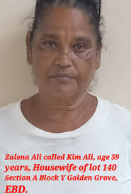 Housewife charged for threatening President, attempting to excite hostility 