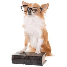 Learn vocabulary, terms and more with flashcards, games and other study tools. Policy Kroopin S Poopin Scoopin