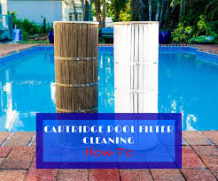 How To Clean A Pool Cartridge Filter System Pool Filters Cleaning Pool Filters Pool Cleaning Tips
