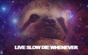 Maybe you would like to learn more about one of these? Registered Trademark Live Slow Die Whenever