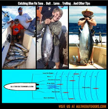 Pin On Fishing