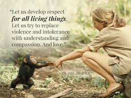 Quotes Jane Goodall Primates Wildlife Chimpanzees Jane Goodall Quotes Inspirational Quotes Jane Goodall