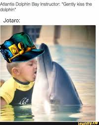 Atlantis Dolphin Bay Instructor Gently Kiss The Dolphin Jotaro Ifunny Jojo Bizzare Adventure Jojo Bizarre Jojo Memes