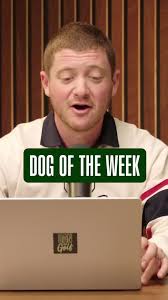 Image result for Handic 15