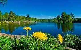 صباحكم جنة الرحمن تج ري من تح تھا الأنھ ار لا و داع فيھا و لا أحزان و لا هم و لا آلم صباح الإحت ياج لعونه و توف natural landmarks outdoor travel