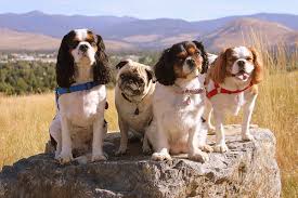 Congratulations to Hannah...