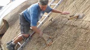Thatching is the craft of building a roof with dry vegetation such as straw, water reed, sedge (cladium mariscus), rushes, heather, or palm branches, layering the vegetation so as to shed water away from the inner roof. Norfolk Reed Thatching Youtube