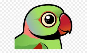 Parakeet Clipart Pink Parrot Cartoon Png Download 4146777 Pinclipart Pattern with tropical parrots and monstera leafs. parakeet clipart pink parrot cartoon