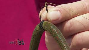 Catch tons of fish on one senko light weight allows bait to fall naturally. Yamamoto Senko Rigging
