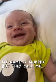 Murphy to Honey Baby Name