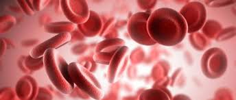 Počet hemofiliků na celém světě je dle odhadu větší než 400 000.5. Test Uzelf Wat Weet U Van Hemofilie Medipedia
